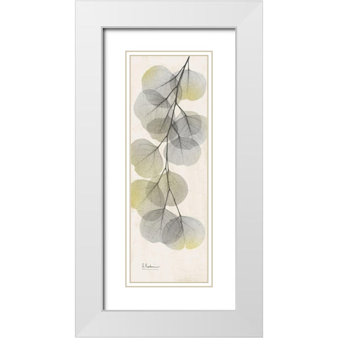 Eucalyptus Sunshine 2 White Modern Wood Framed Art Print with Double Matting by Koetsier, Albert