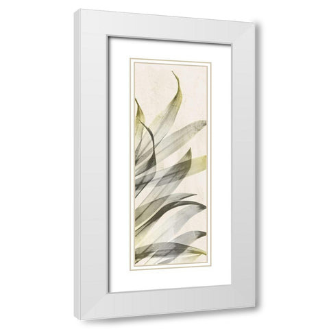 Sun of India White Modern Wood Framed Art Print with Double Matting by Koetsier, Albert