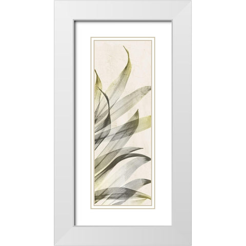 Sun of India White Modern Wood Framed Art Print with Double Matting by Koetsier, Albert