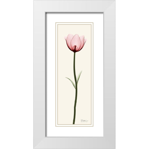 Standing Tall 1 White Modern Wood Framed Art Print with Double Matting by Koetsier, Albert