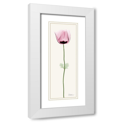 Standing Tall 3 White Modern Wood Framed Art Print with Double Matting by Koetsier, Albert