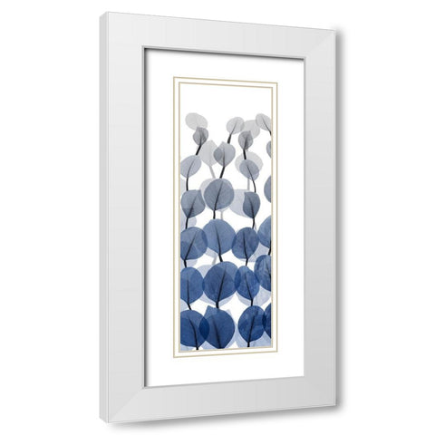 Sapphire Blooms On White 1 White Modern Wood Framed Art Print with Double Matting by Koetsier, Albert