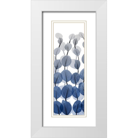 Sapphire Blooms On White 1 White Modern Wood Framed Art Print with Double Matting by Koetsier, Albert