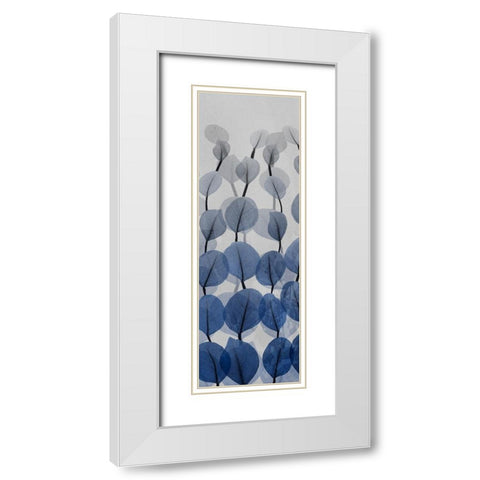 Sapphire Blooms 3 White Modern Wood Framed Art Print with Double Matting by Koetsier, Albert