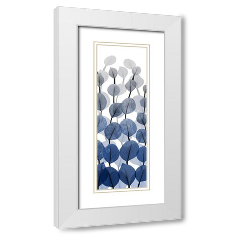Sapphire Blooms On White 2 White Modern Wood Framed Art Print with Double Matting by Koetsier, Albert