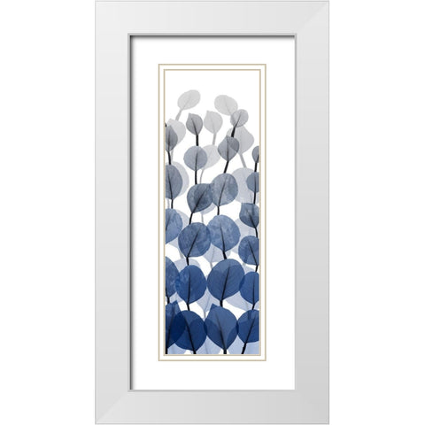 Sapphire Blooms On White 2 White Modern Wood Framed Art Print with Double Matting by Koetsier, Albert