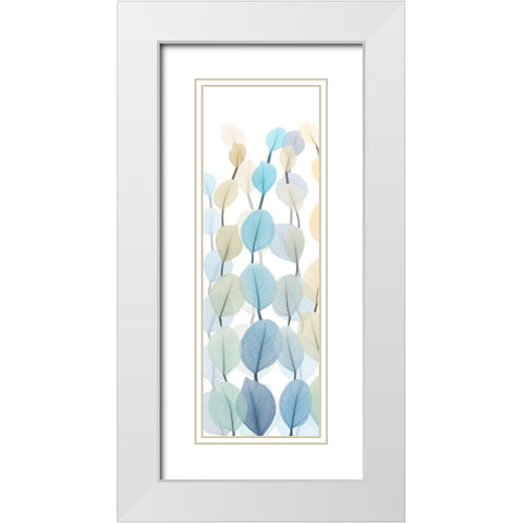 Lanterns On White 2 White Modern Wood Framed Art Print with Double Matting by Koetsier, Albert