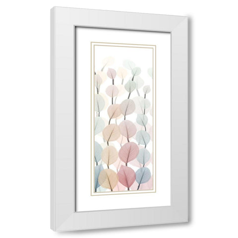 Sprouting Hues 1 White Modern Wood Framed Art Print with Double Matting by Koetsier, Albert