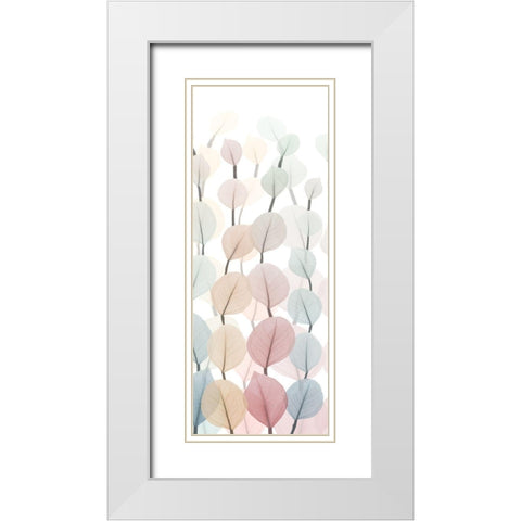 Sprouting Hues 1 White Modern Wood Framed Art Print with Double Matting by Koetsier, Albert