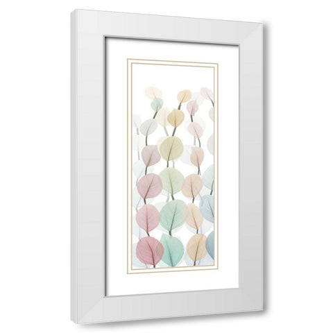 Sprouting Hues 2 White Modern Wood Framed Art Print with Double Matting by Koetsier, Albert