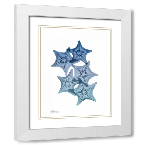Tidal Starfish 1 White Modern Wood Framed Art Print with Double Matting by Koetsier, Albert