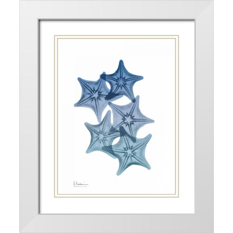 Tidal Starfish 1 White Modern Wood Framed Art Print with Double Matting by Koetsier, Albert