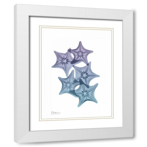 Lavender Splashed Starfish 1 White Modern Wood Framed Art Print with Double Matting by Koetsier, Albert