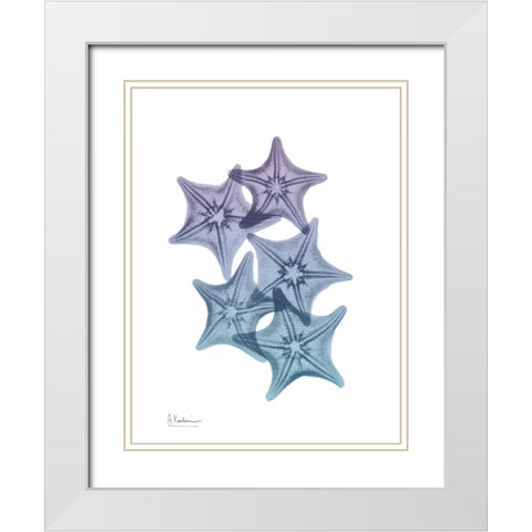 Lavender Splashed Starfish 1 White Modern Wood Framed Art Print with Double Matting by Koetsier, Albert