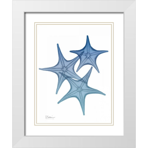 Tidal Starfish 2 White Modern Wood Framed Art Print with Double Matting by Koetsier, Albert