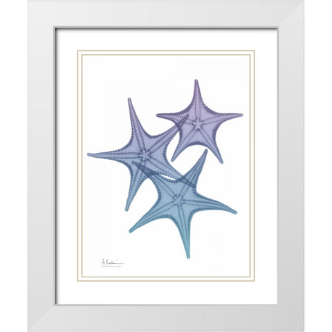 Lavender Splashed Starfish 2 White Modern Wood Framed Art Print with Double Matting by Koetsier, Albert