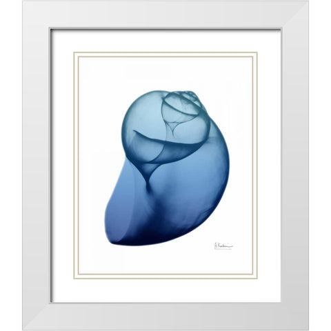 Scenic Water Snail 1 White Modern Wood Framed Art Print with Double Matting by Koetsier, Albert