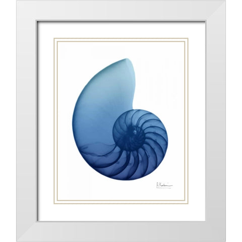 Scenic Water Snail 2 White Modern Wood Framed Art Print with Double Matting by Koetsier, Albert