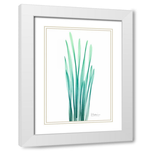 Radiant Bamboo Leaf White Modern Wood Framed Art Print with Double Matting by Koetsier, Albert