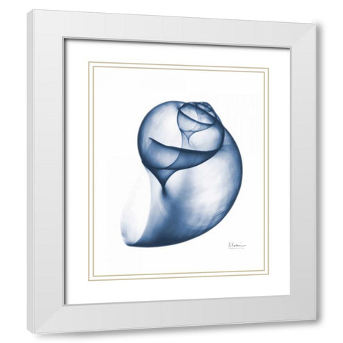 Indigo Water Snail White Modern Wood Framed Art Print with Double Matting by Koetsier, Albert