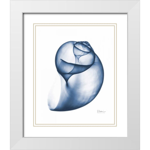 Indigo Water Snail White Modern Wood Framed Art Print with Double Matting by Koetsier, Albert