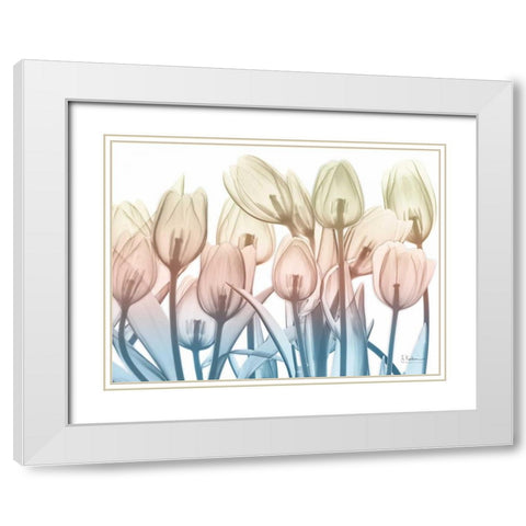 Magical Garden 2 White Modern Wood Framed Art Print with Double Matting by Koetsier, Albert