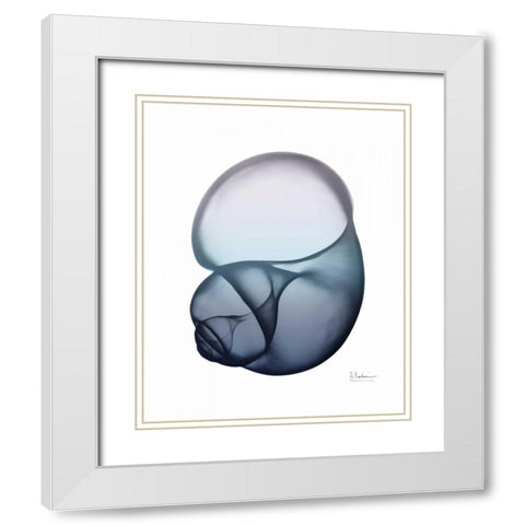 Lavender Snail 1 White Modern Wood Framed Art Print with Double Matting by Koetsier, Albert