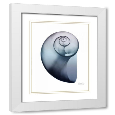 Lavender Snail 2 White Modern Wood Framed Art Print with Double Matting by Koetsier, Albert