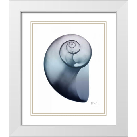 Lavender Snail 2 White Modern Wood Framed Art Print with Double Matting by Koetsier, Albert