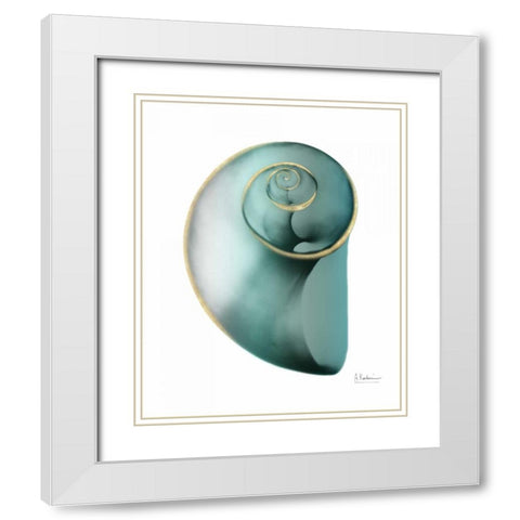 Shimmering Snail 2 White Modern Wood Framed Art Print with Double Matting by Koetsier, Albert