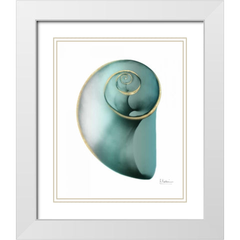 Shimmering Snail 2 White Modern Wood Framed Art Print with Double Matting by Koetsier, Albert