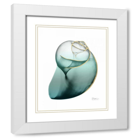 Shimmering Snail 3 White Modern Wood Framed Art Print with Double Matting by Koetsier, Albert