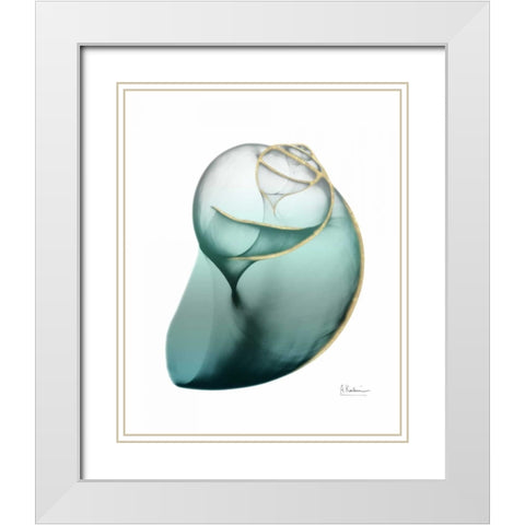 Shimmering Snail 3 White Modern Wood Framed Art Print with Double Matting by Koetsier, Albert