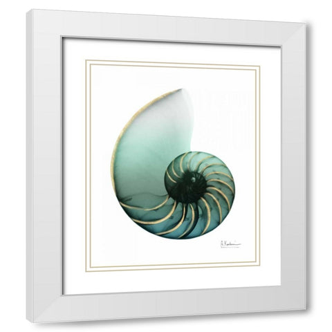 Shimmering Snail 4 White Modern Wood Framed Art Print with Double Matting by Koetsier, Albert