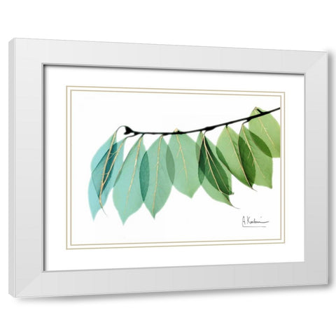 Golden Camelia Leaf White Modern Wood Framed Art Print with Double Matting by Koetsier, Albert