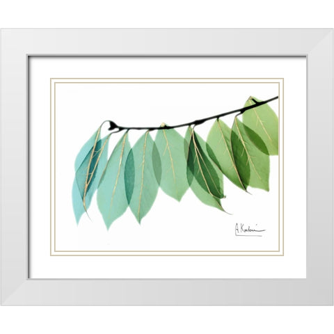 Golden Camelia Leaf White Modern Wood Framed Art Print with Double Matting by Koetsier, Albert