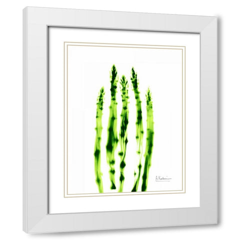 Asparagus Stock White Modern Wood Framed Art Print with Double Matting by Koetsier, Albert