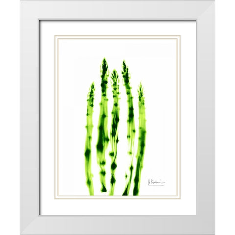 Asparagus Stock White Modern Wood Framed Art Print with Double Matting by Koetsier, Albert