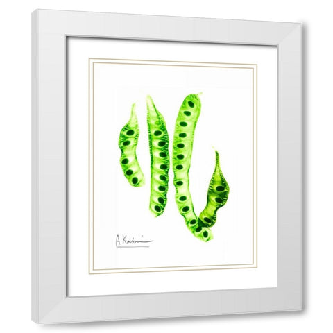 Carob Formation White Modern Wood Framed Art Print with Double Matting by Koetsier, Albert