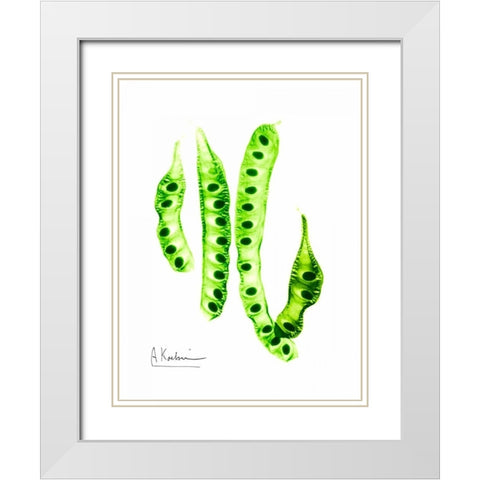 Carob Formation White Modern Wood Framed Art Print with Double Matting by Koetsier, Albert