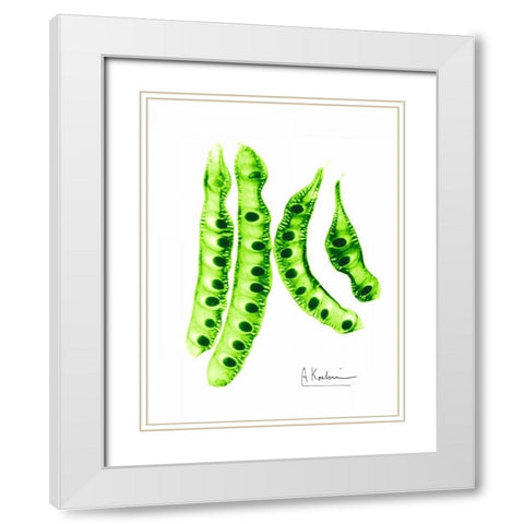 Carob Formation 2 White Modern Wood Framed Art Print with Double Matting by Koetsier, Albert