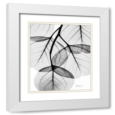 Silver Age Eucalyptus White Modern Wood Framed Art Print with Double Matting by Koetsier, Albert