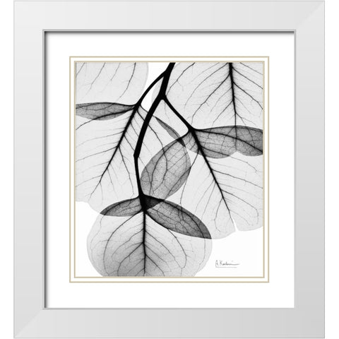 Silver Age Eucalyptus White Modern Wood Framed Art Print with Double Matting by Koetsier, Albert