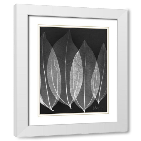 Extravagant Bo Tree White Modern Wood Framed Art Print with Double Matting by Koetsier, Albert