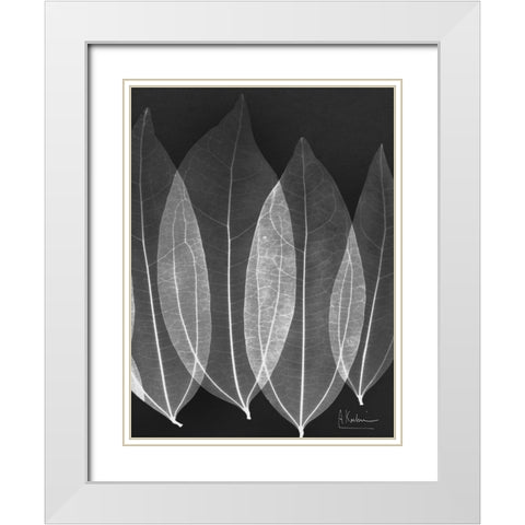 Extravagant Bo Tree White Modern Wood Framed Art Print with Double Matting by Koetsier, Albert