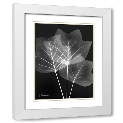 Extravagant Tulip Tree White Modern Wood Framed Art Print with Double Matting by Koetsier, Albert