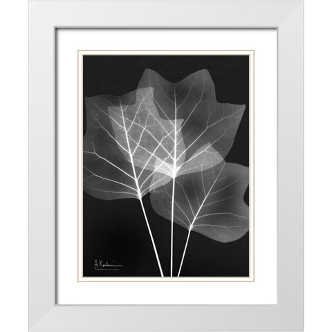 Extravagant Tulip Tree White Modern Wood Framed Art Print with Double Matting by Koetsier, Albert