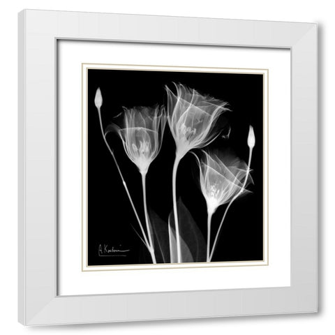 Gentle Gentian White Modern Wood Framed Art Print with Double Matting by Koetsier, Albert