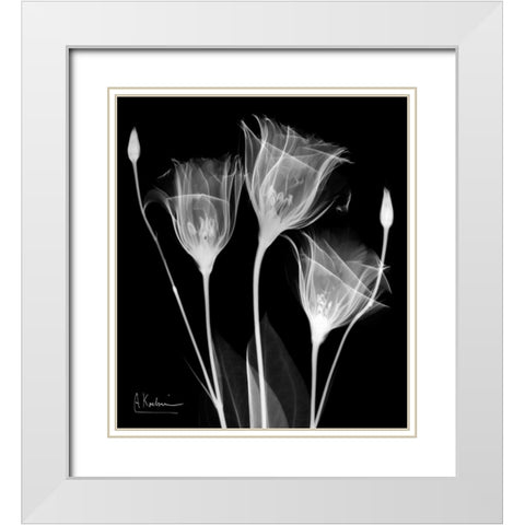 Gentle Gentian White Modern Wood Framed Art Print with Double Matting by Koetsier, Albert