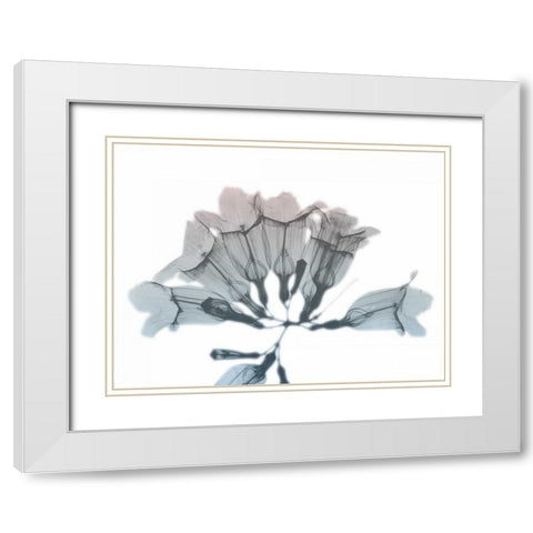 Blooming Jacaranoa White Modern Wood Framed Art Print with Double Matting by Koetsier, Albert